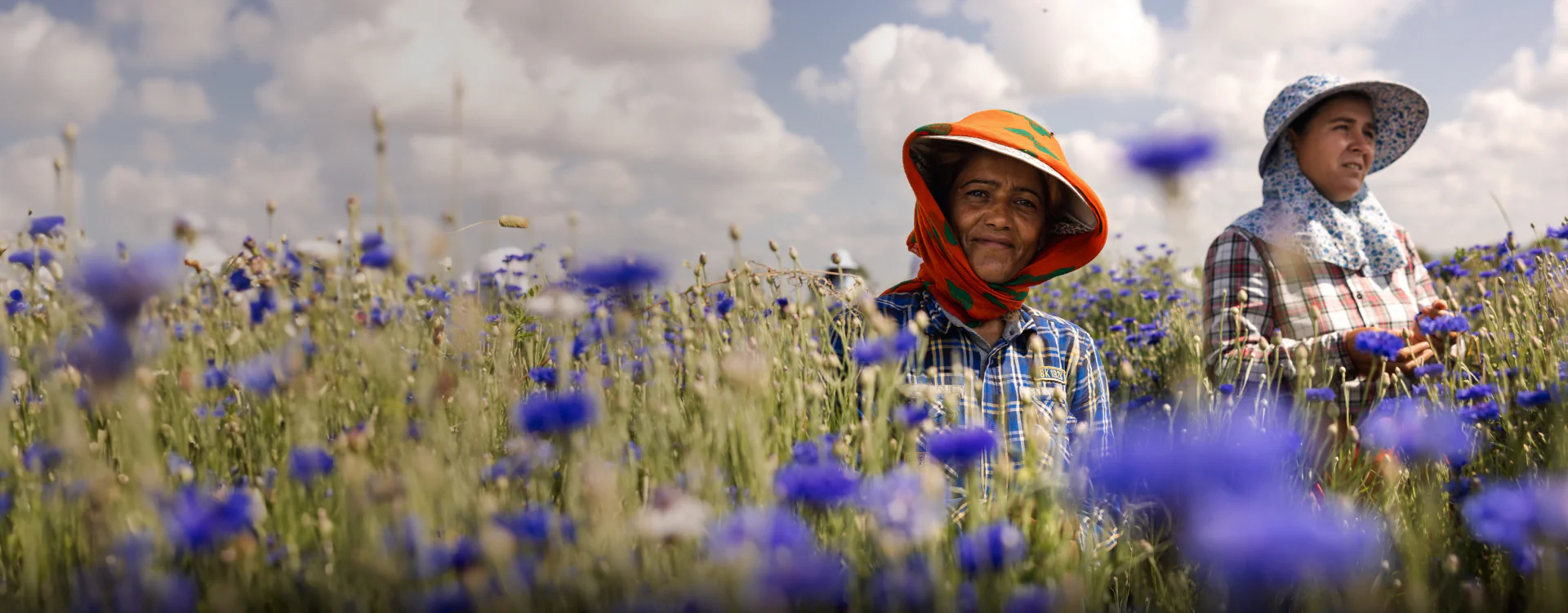 Industry chain background