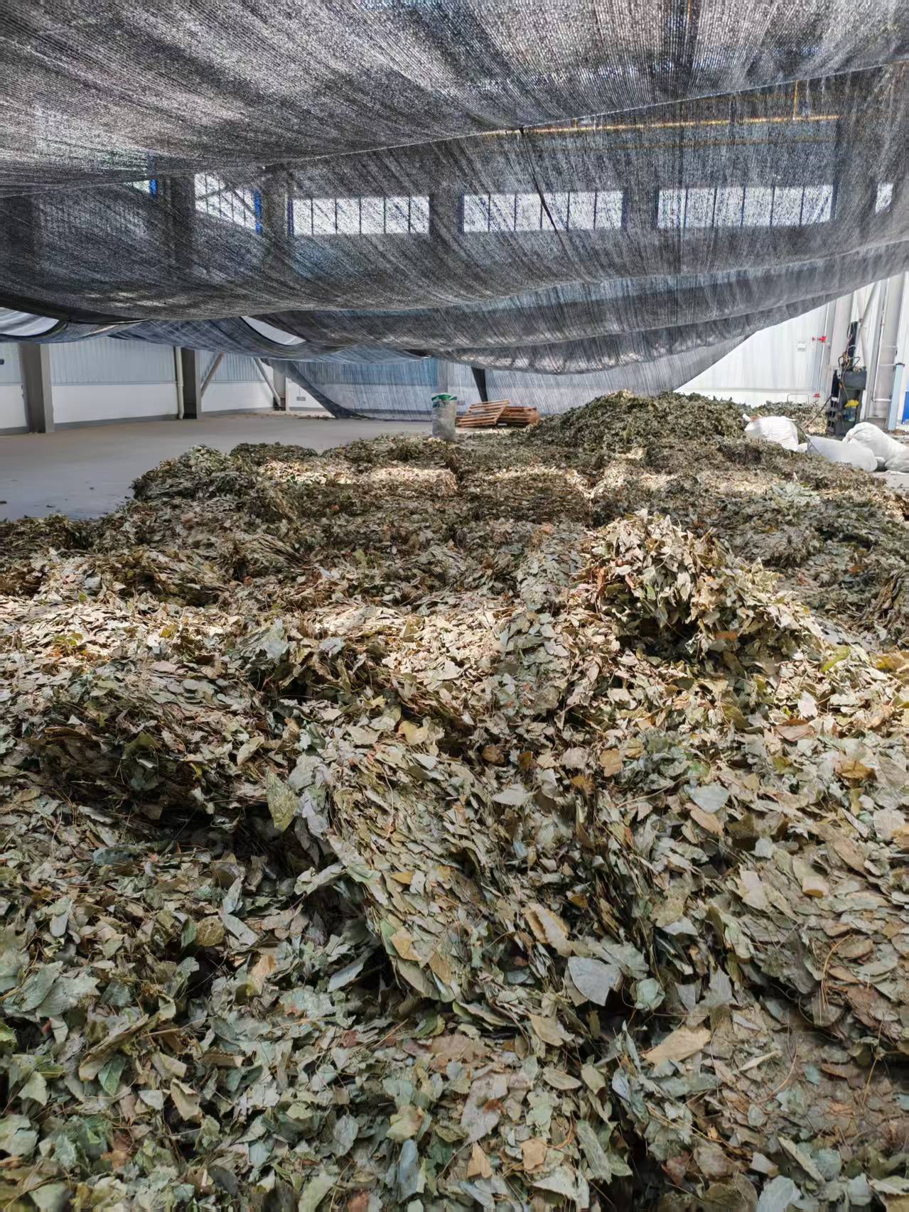 Epimedium leaves economic value