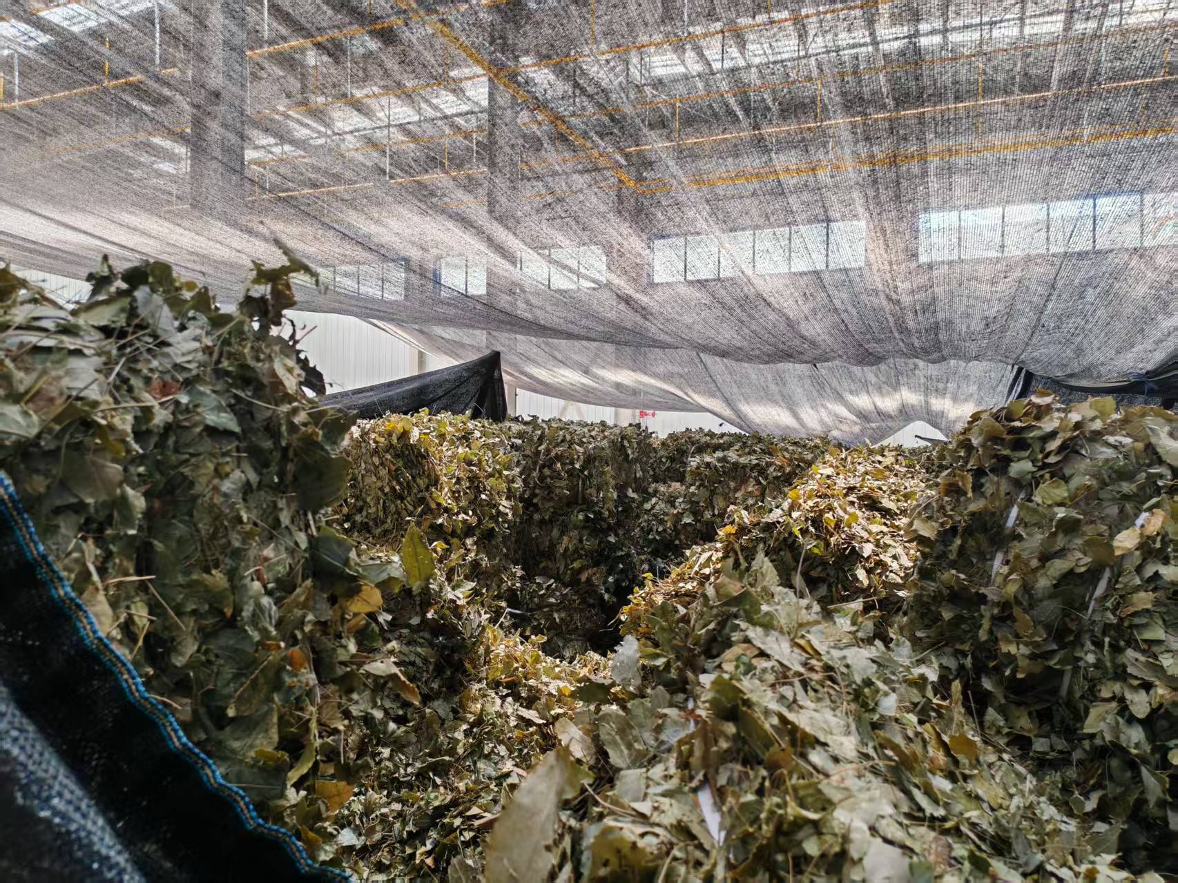 Epimedium leaves packaging