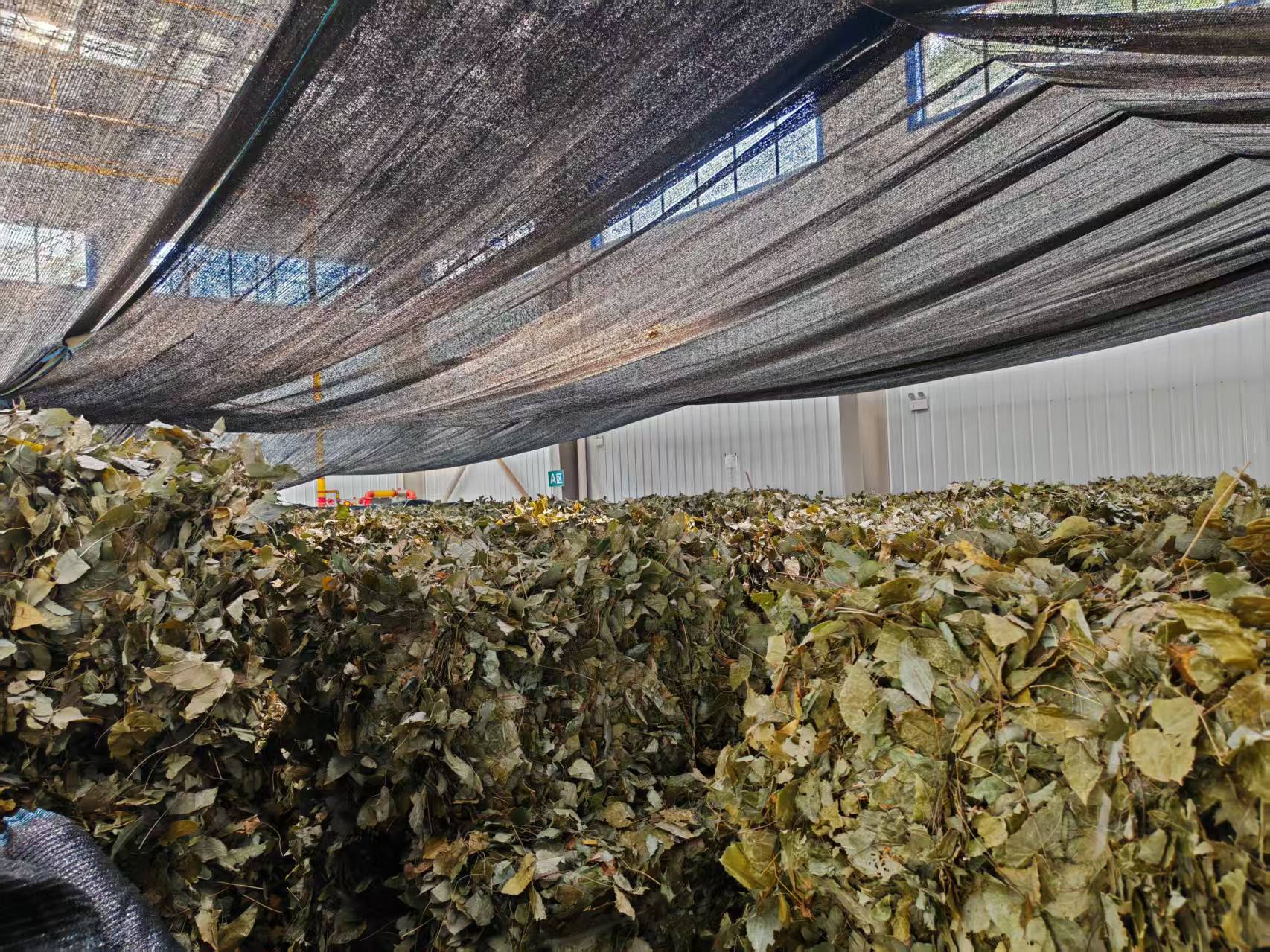 Epimedium leaves quality testing