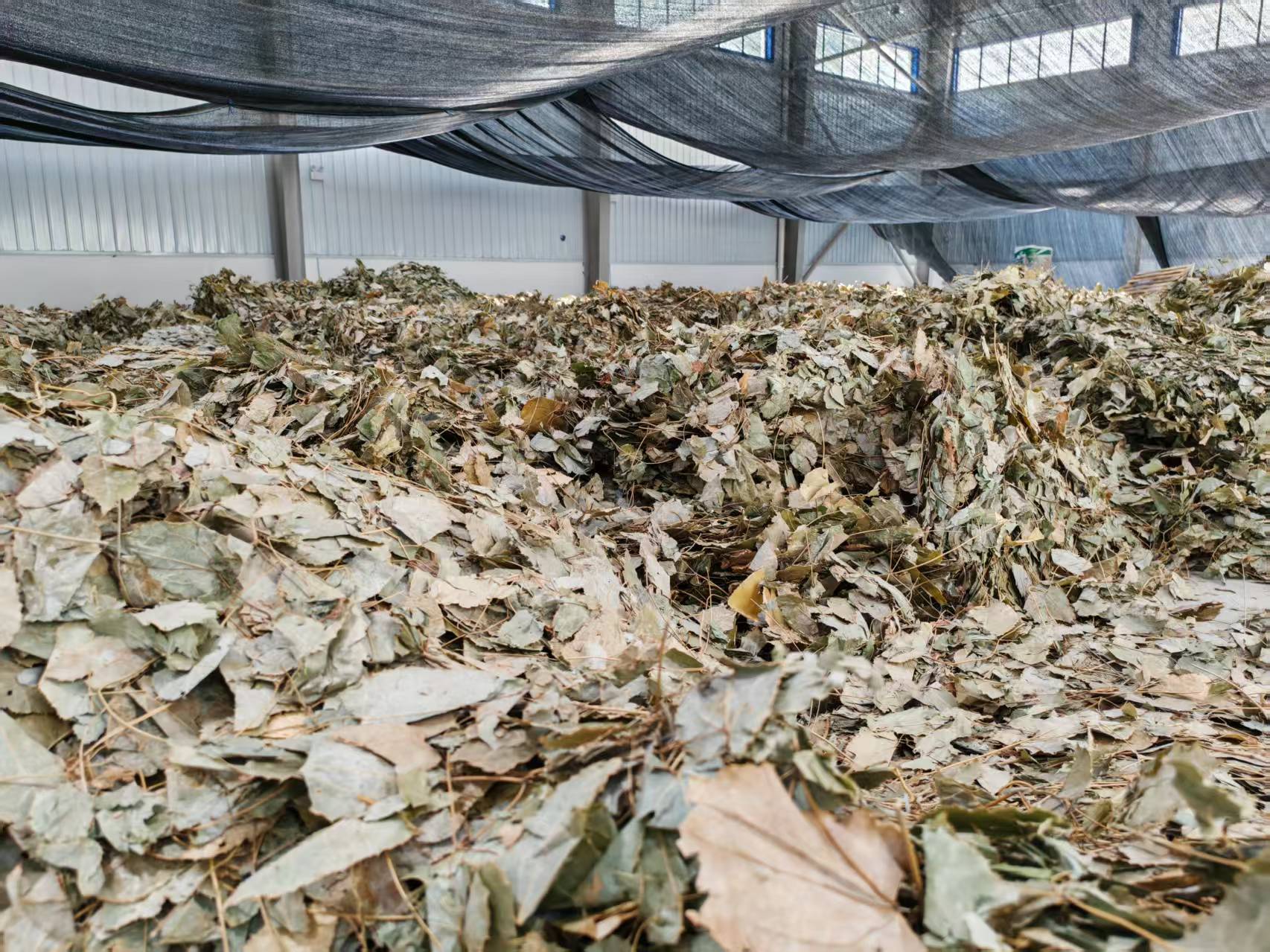 Epimedium leaves storage