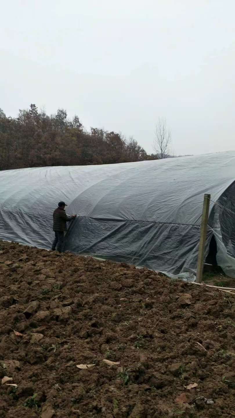 Installing shade net
