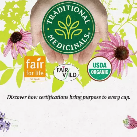 淫羊藿当归养生酒