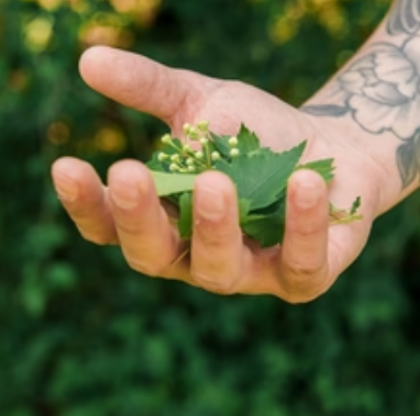 Complete industry chain